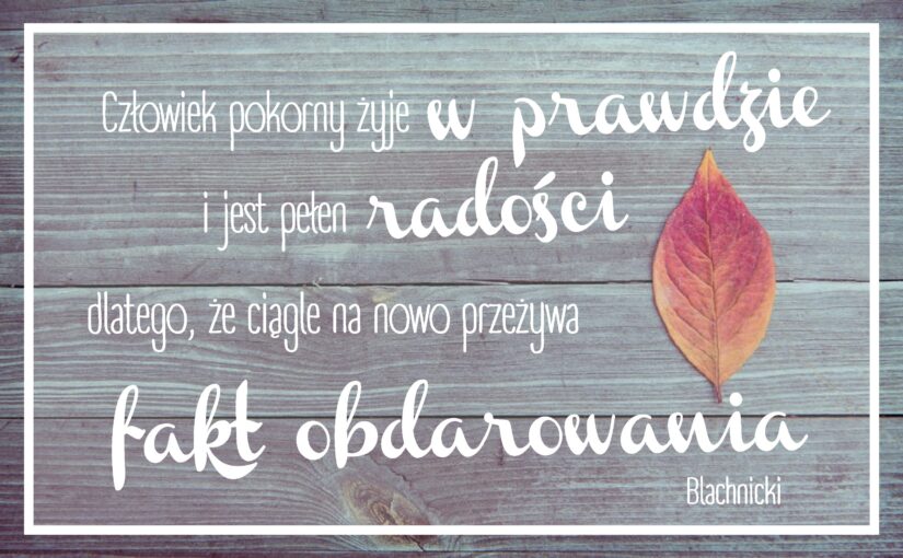 Palemki 2018
