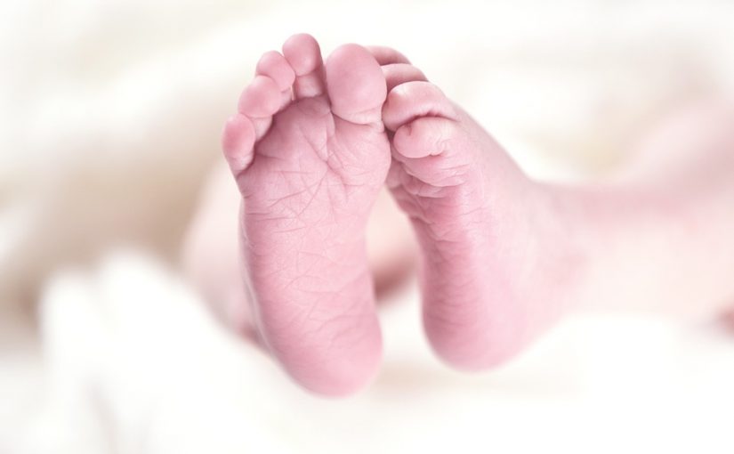 Zatrzymaj aborcję  |  poparcie ruchów katolickich